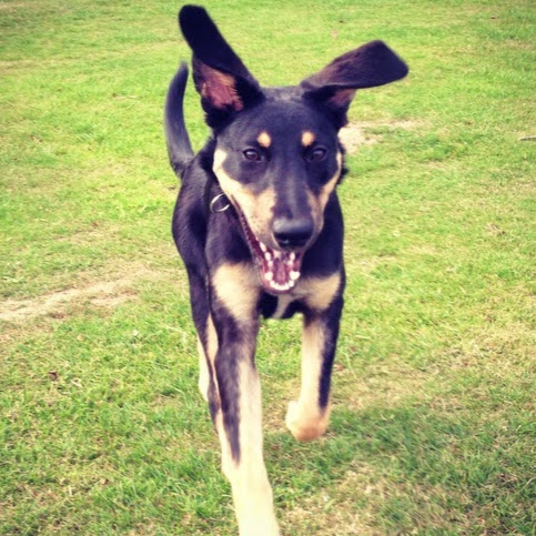 Sarah Crisp Photo 32