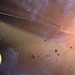 Spitzer Spitzer Photo 6