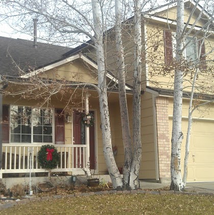 Alison Button Photo 8