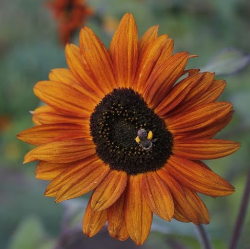 Kelly Jacobson Photo 21