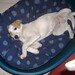 Christine Gatti Photo 9