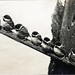 William Lovell Photo 9