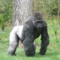 Jerry Thacker Photo 38