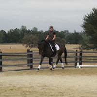 Cindy Madden Photo 32