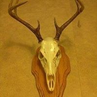 Robbie Pruitt Photo 14