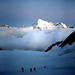 Dawn Wallis Photo 22