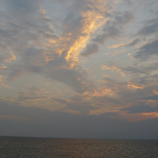 Pauline Cook Photo 19 Pauline Cook Photo 19