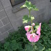 Ronald Huber Photo 10