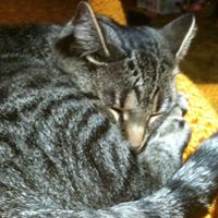 Cathy Parish Photo 11