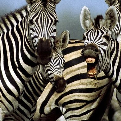 Dana Fletcher Photo 18