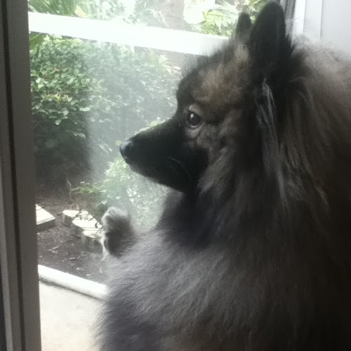 Cynthia Carver Photo 17