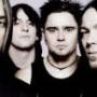 Kelly Jarvis Photo 4