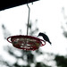 Shelia Turner Photo 33