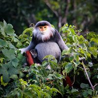 Dale Warner Photo 11