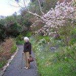 Kathleen Gilmour Photo 9