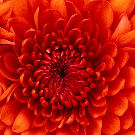 Stephanie Phipps Photo 4