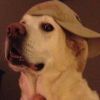 Gina Butler Photo 14