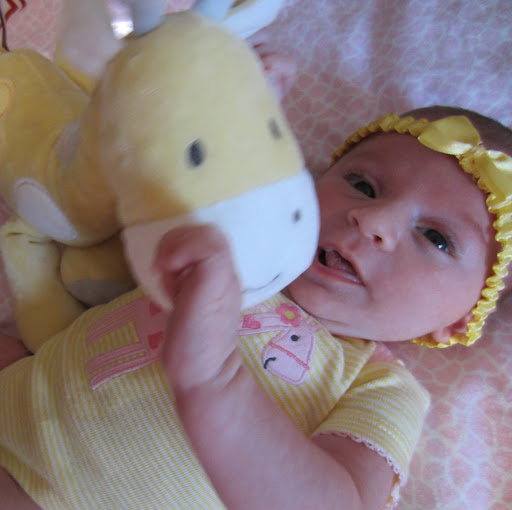 Joseph Randazzo Photo 19