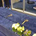 Hal Holland Photo 22