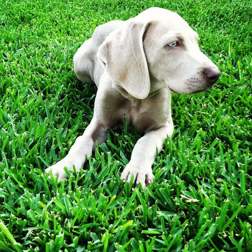 Eunice Gutierrez Photo 30