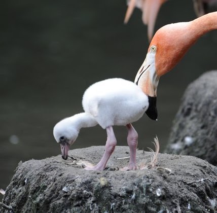 Marilyn Barrett Photo 28