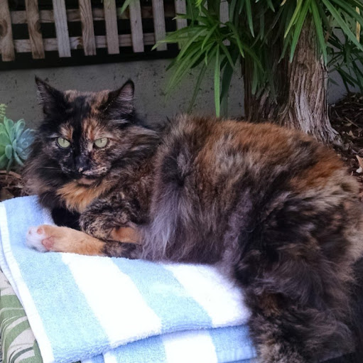 Theresa Sullivan Photo 22