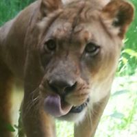 Susan Coffman Photo 36