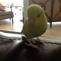 David Burry Photo 26
