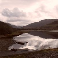 Suzanne Everett Photo 33