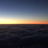 Tracey Simmons Photo 17