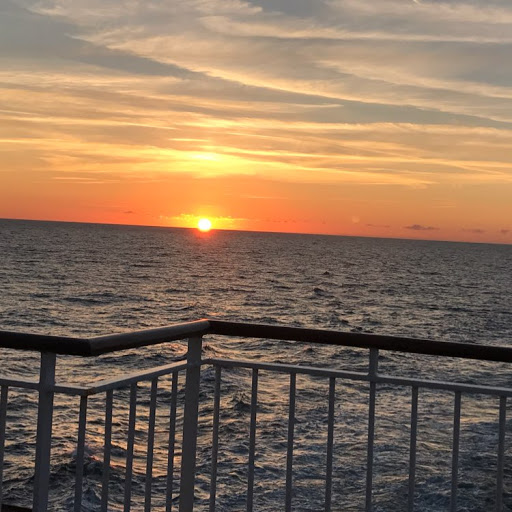 Sharon Cunningham Photo 15