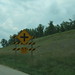 Carol Chaney Photo 28