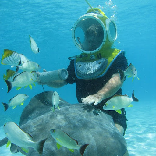 Howard Rich Photo 13 Howard Rich Photo 13