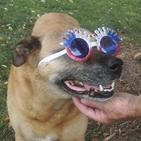 Teresa Humphries Photo 23