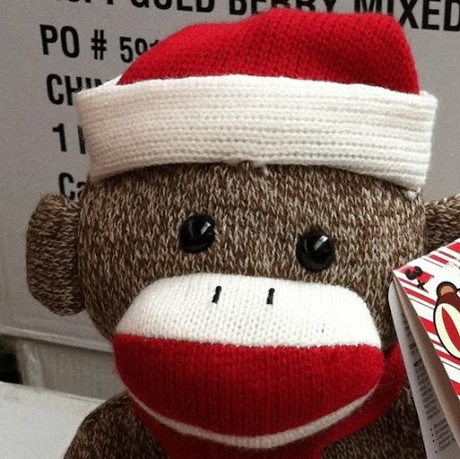 Stephen Sharpe Photo 11