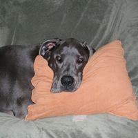 Darlene Winslow Photo 5