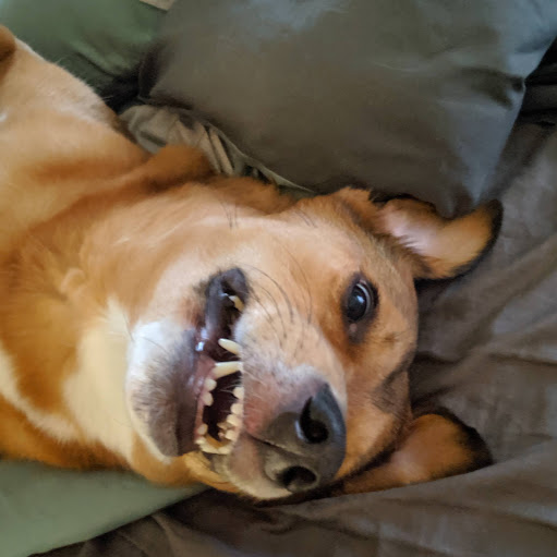 Matthew Mcdowell Photo 4