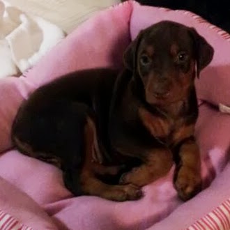 Kathy Barker Photo 35 Kathy Barker Photo 35