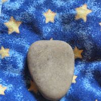 Deb Daugherty Photo 16