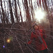 Bridget Wood Photo 4