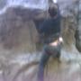 Jessica Baucom Photo 18