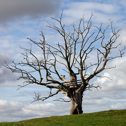 John Berry Photo 48
