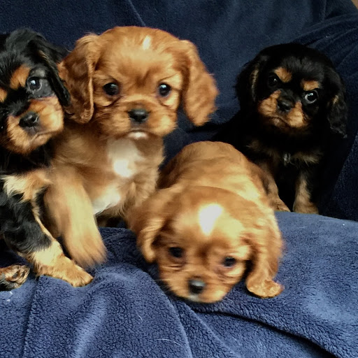 Anne O'Connor Photo 19