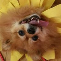 Phyllis Stephenson Photo 13