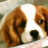 Julian Ruiz Photo 23