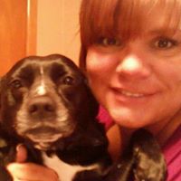 Lori Stauffer Photo 24