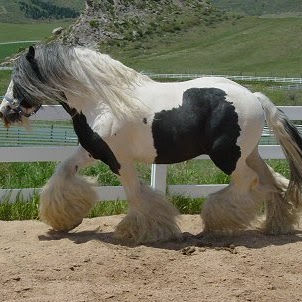 Ellis Taylor Photo 34