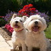 Milly West Photo 11