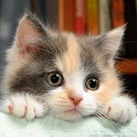 Sharon Mcgill Photo 7