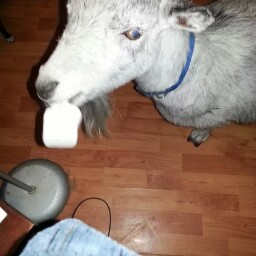 Doris Russell Photo 3